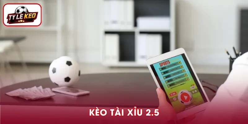Kèo Tài Xỉu 2.5 - Phương Pháp Đọc Chuẩn Và Kinh Nghiệm Hay