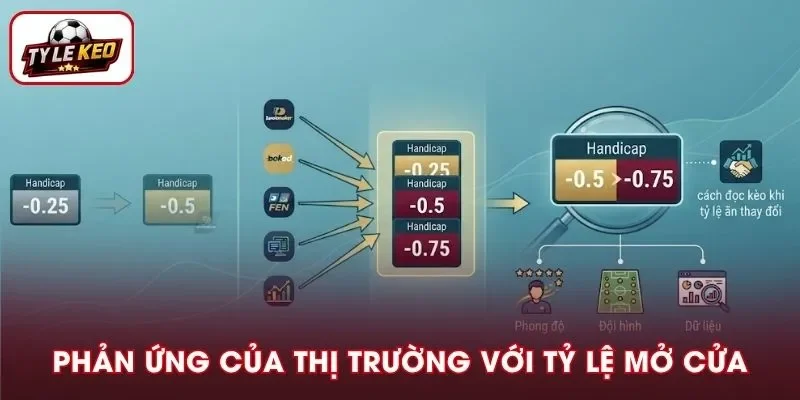Cách thị trường phản ứng với mức chấp mở cửa