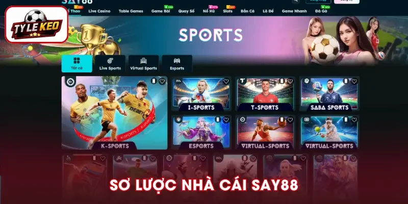 Tổng quan nhà cái SAY88