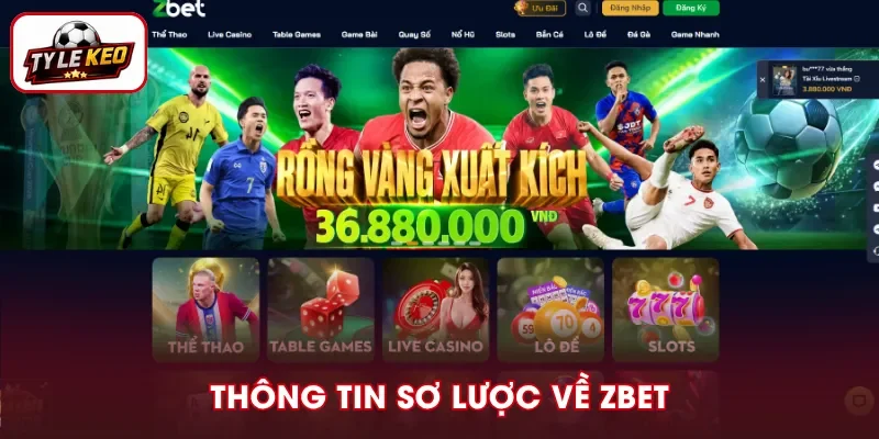 Tổng quan thông tin về ZBET