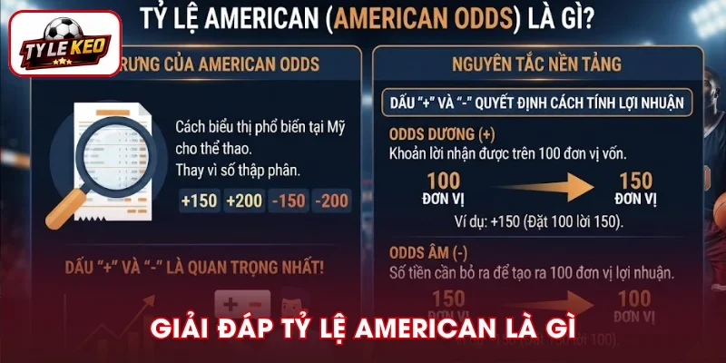 Giải đáp chi tiết tỷ lệ American là gì