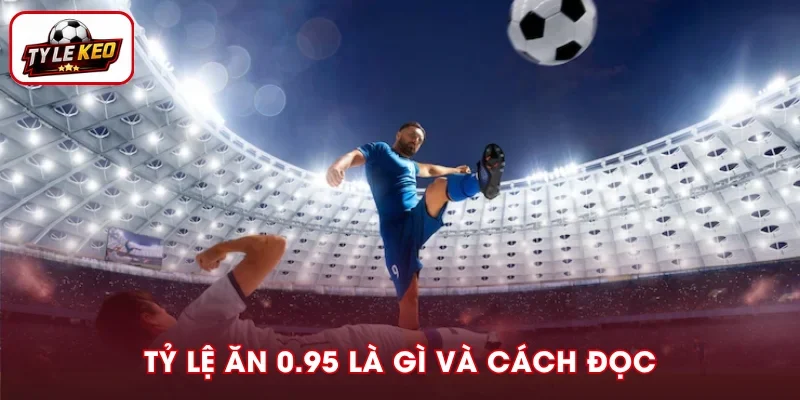 Tỷ Lệ Ăn 0.95 Là Gì? Cách Đọc Chuẩn Và Điều Cần Nắm