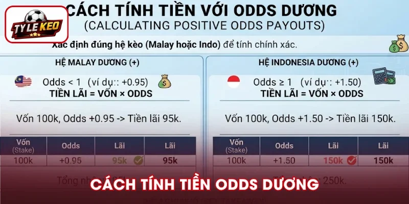 Chia sẻ cách tính tiền Odds dương chi tiết