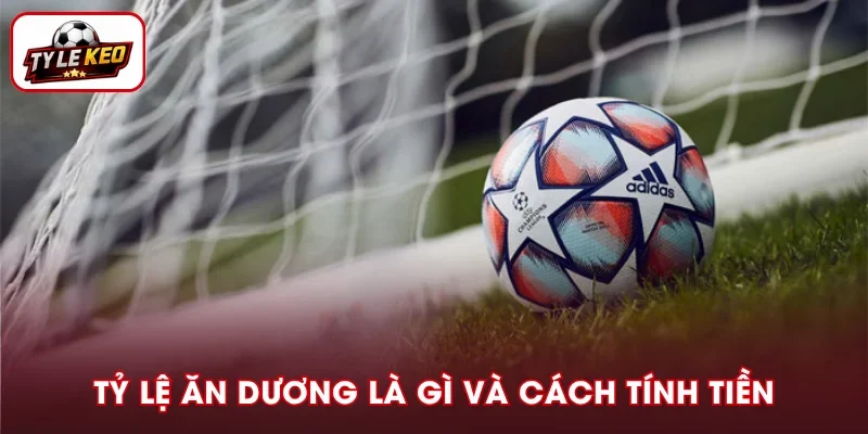 Tỷ Lệ Ăn Dương Là Gì? Cách Tính Tiền Và Phân Biệt Odds
