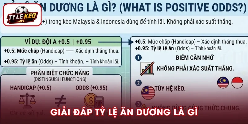 Khái quát về tỷ lệ ăn dương là gì