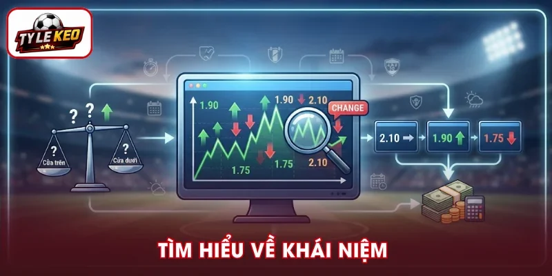 Tìm hiểu khái niệm tỷ lệ Decimal là gì