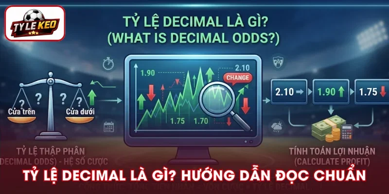 Tỷ Lệ Decimal Là Gì? Giải Thích Cách Đọc Odds Dễ Hiểu