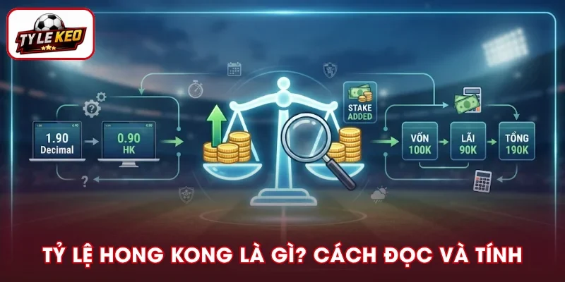 Tỷ Lệ Hong Kong Là Gì? Cách Đọc Và Tính Chuẩn Nhất