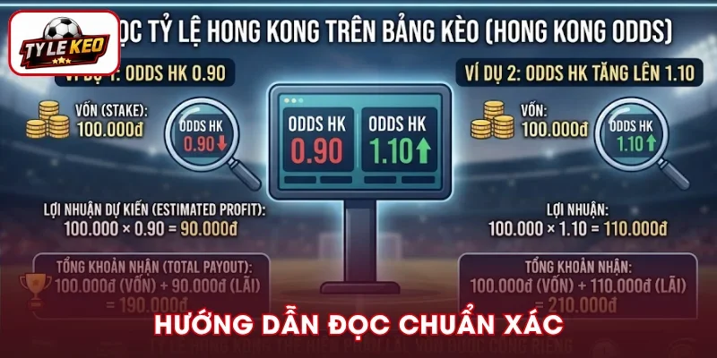 Hướng dẫn đọc tỷ lệ Hong Kong trên bảng kèo chuẩn