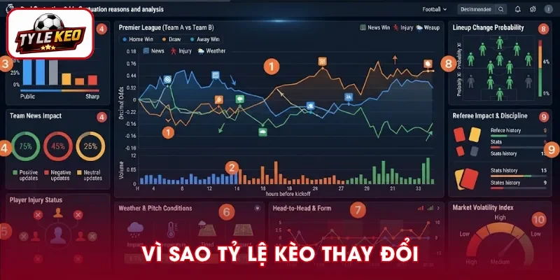 Vì Sao Tỷ Lệ Kèo Thay Đổi? Nguyên Nhân Và Cách Đọc